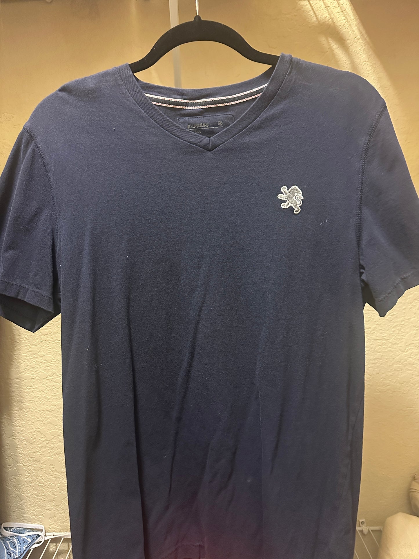 Express V Neck