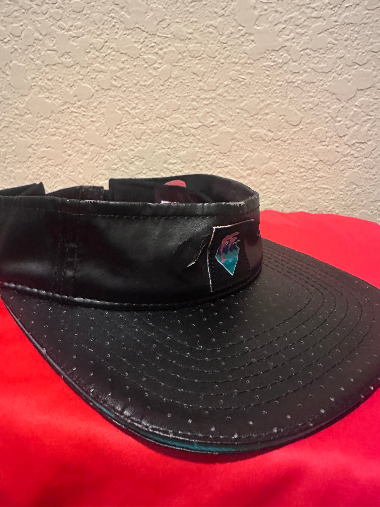 Pink Dolphin Visor