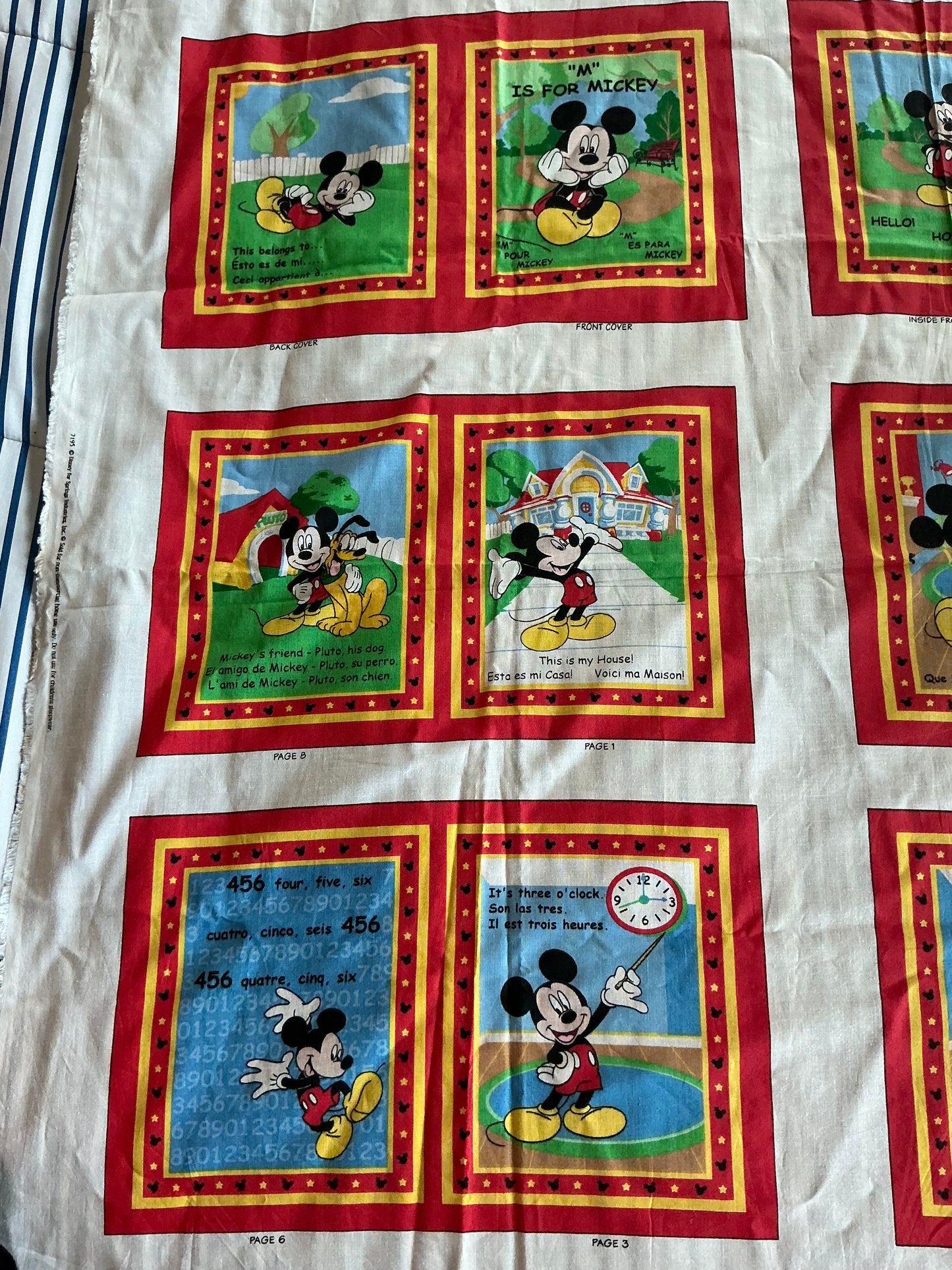 Mickey Trilingual Cloth